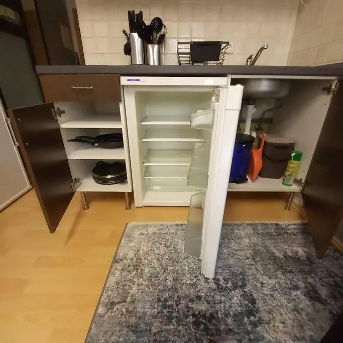 Entspannen In Passau An Der Donau Inklusive Netflix Apartment